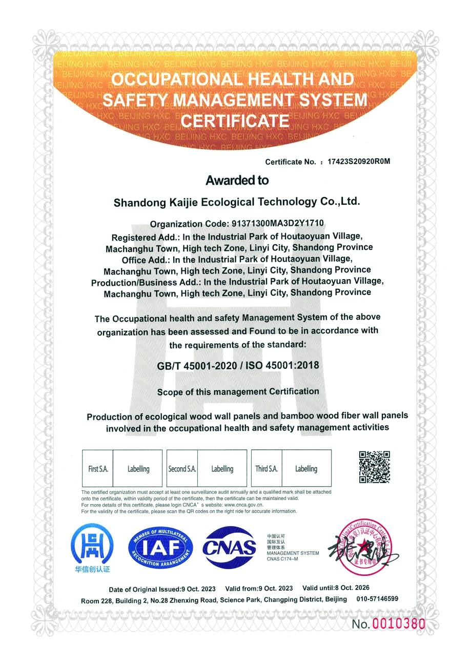 Occupational health and safety management system certificate · 17423S20920R0M