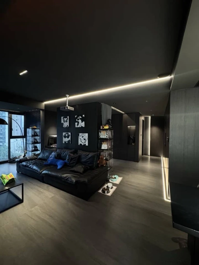Dark-toned lounge and cinema atmosphere