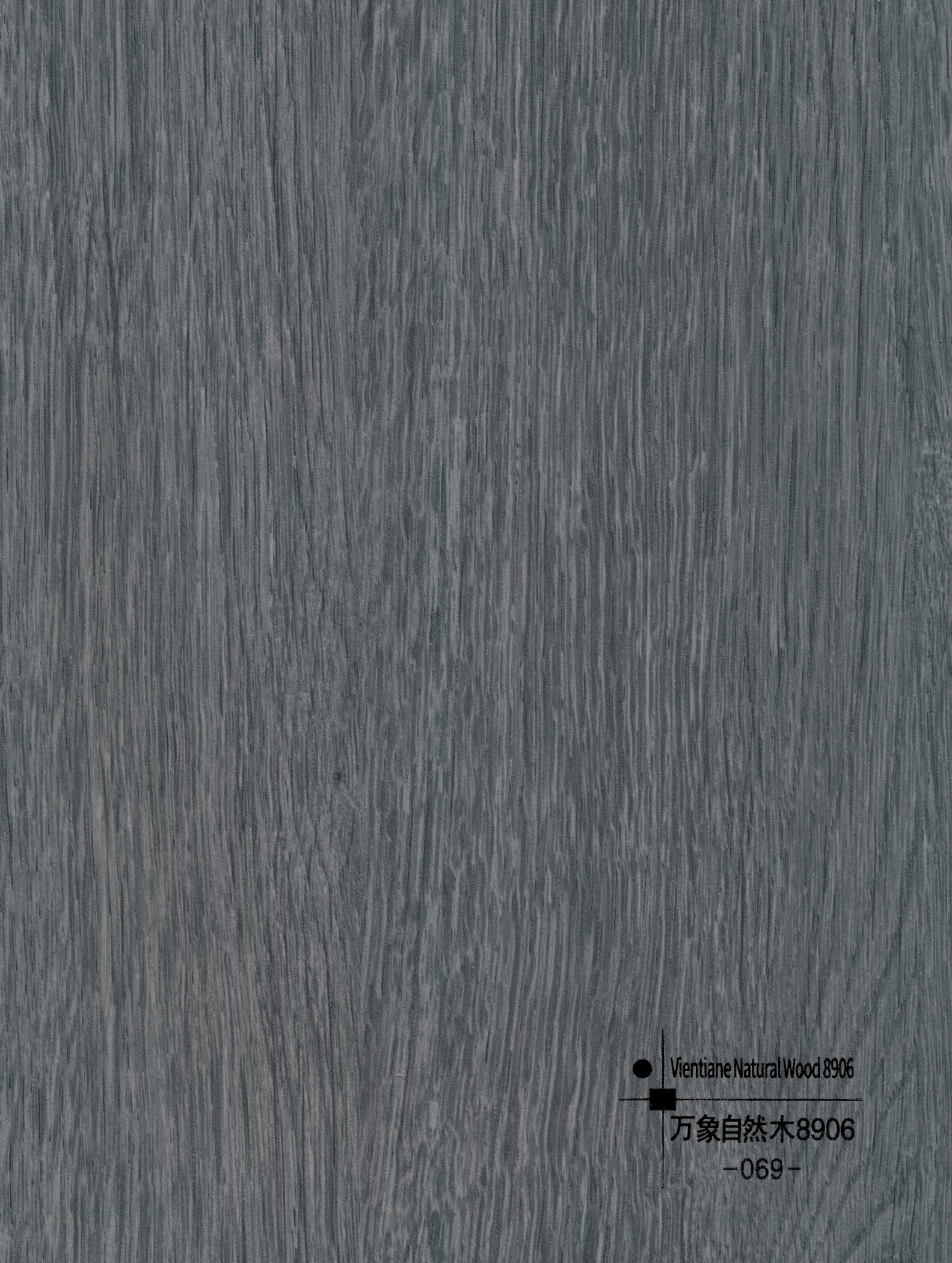 Vientiane Natural Wood 8906 · 069