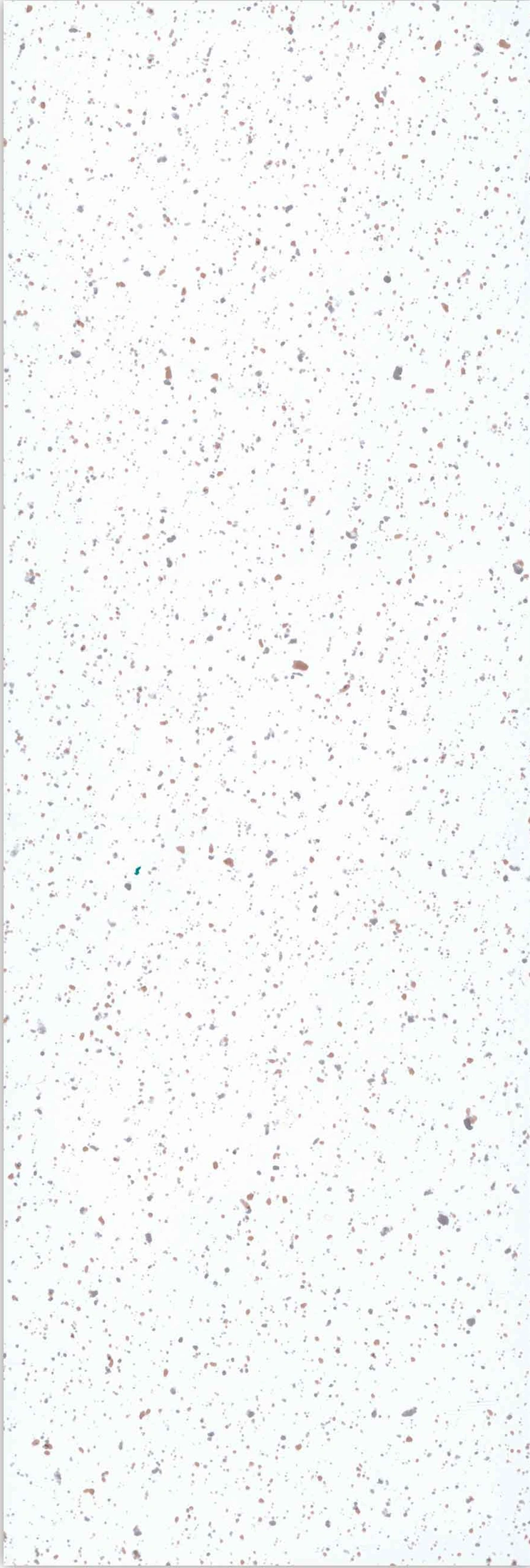 Starry sky
